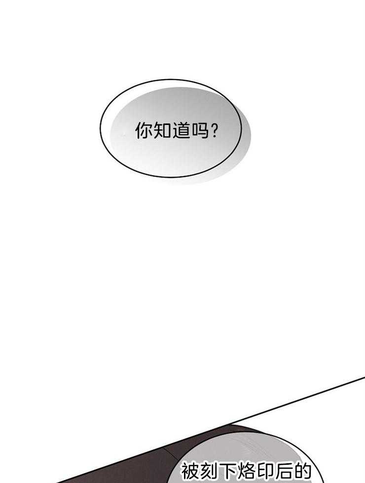 《亲爱的本杰明（第二季）》漫画最新章节第53话 真相免费下拉式在线观看章节第【19】张图片