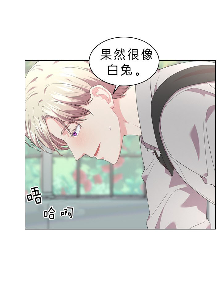 《殿下的撩夫日常》漫画最新章节第49话 好好看我免费下拉式在线观看章节第【5】张图片