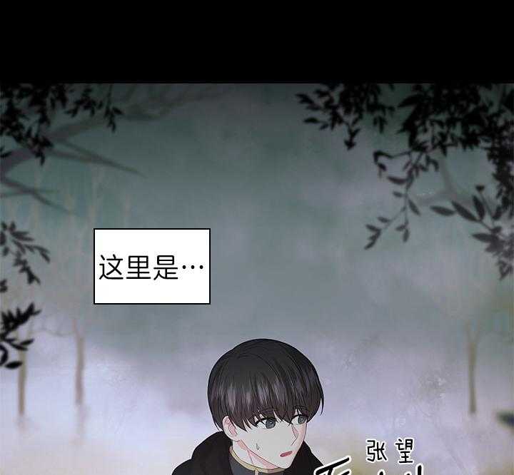 《殿下的撩夫日常》漫画最新章节第93话 一定生下你免费下拉式在线观看章节第【46】张图片