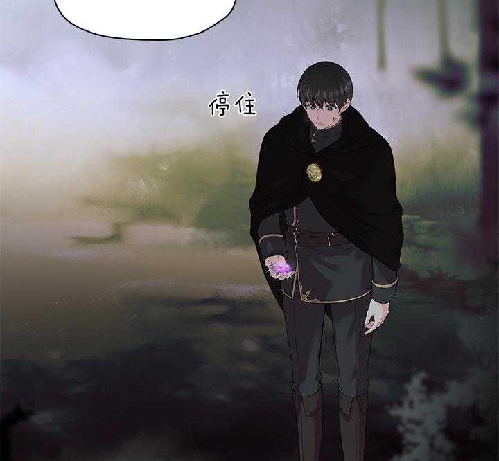 《殿下的撩夫日常》漫画最新章节第93话 一定生下你免费下拉式在线观看章节第【40】张图片