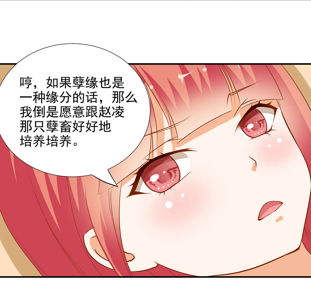 《穿越王妃要升级》漫画最新章节第5话 第5话 狼狈见面吧！免费下拉式在线观看章节第【22】张图片