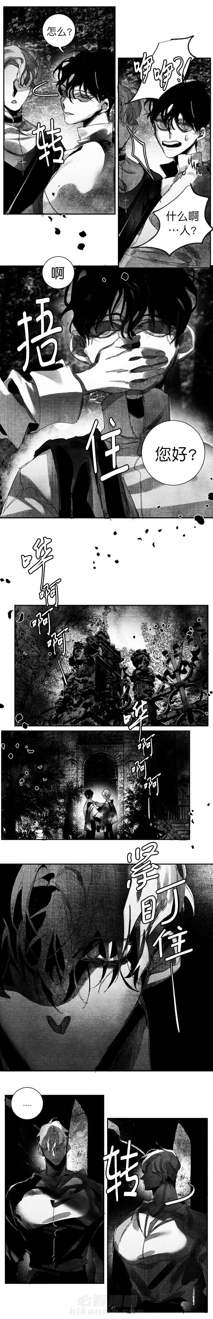 《圣十字的审判》漫画最新章节第11话 祝福免费下拉式在线观看章节第【8】张图片