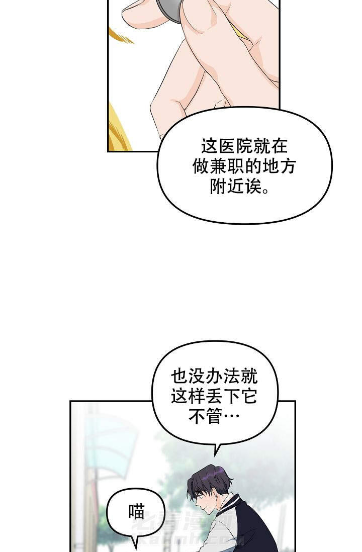 《老虎花》漫画最新章节第1话 1免费下拉式在线观看章节第【15】张图片