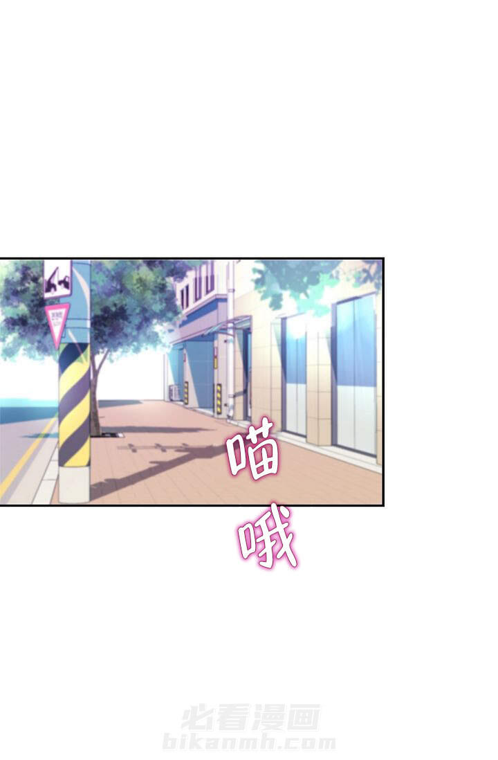 《老虎花》漫画最新章节第1话 1免费下拉式在线观看章节第【24】张图片