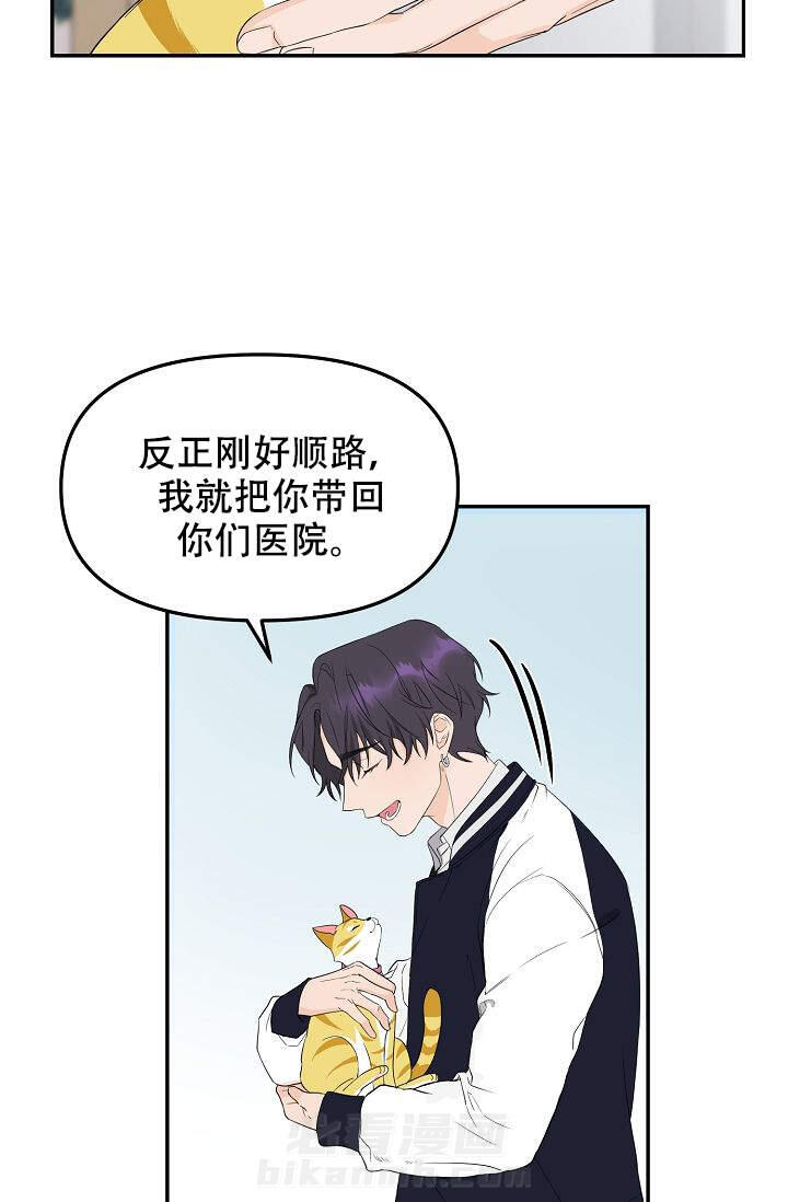 《老虎花》漫画最新章节第1话 1免费下拉式在线观看章节第【13】张图片