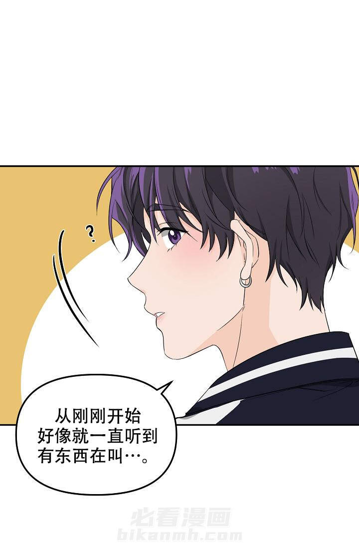 《老虎花》漫画最新章节第1话 1免费下拉式在线观看章节第【22】张图片