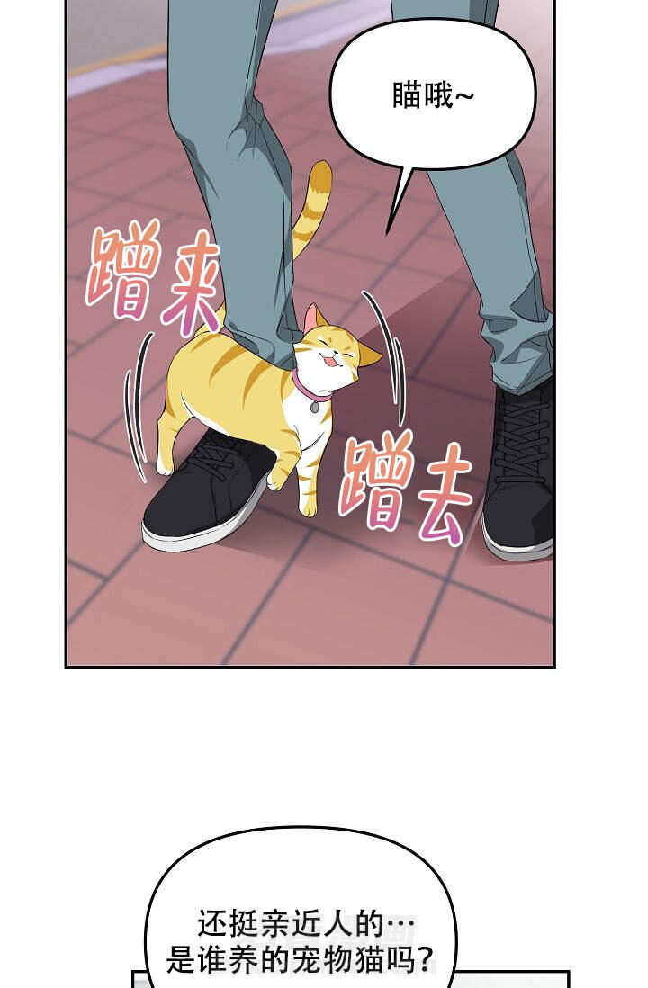 《老虎花》漫画最新章节第1话 1免费下拉式在线观看章节第【18】张图片