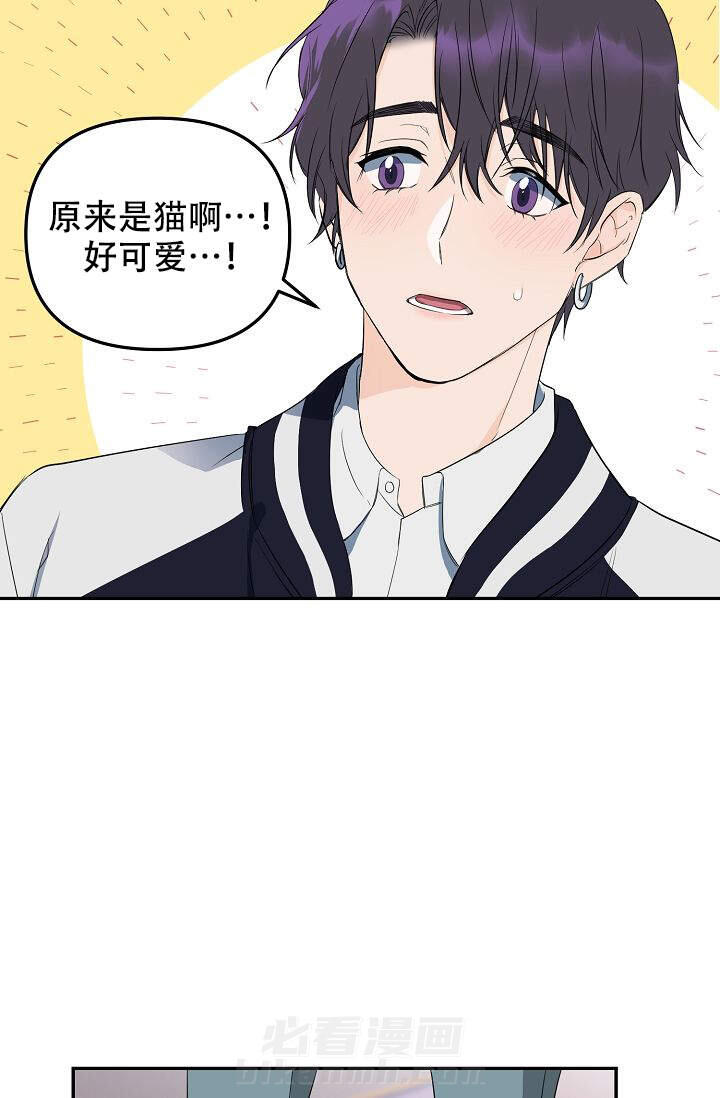 《老虎花》漫画最新章节第1话 1免费下拉式在线观看章节第【19】张图片