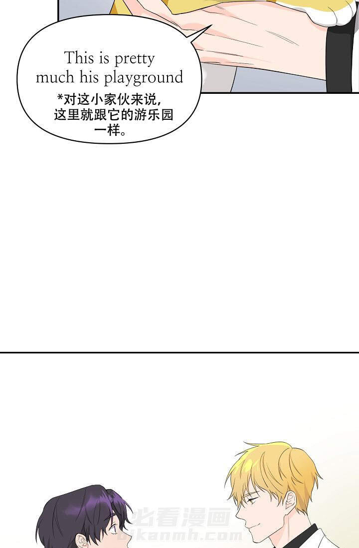 《老虎花》漫画最新章节第1话 1免费下拉式在线观看章节第【3】张图片