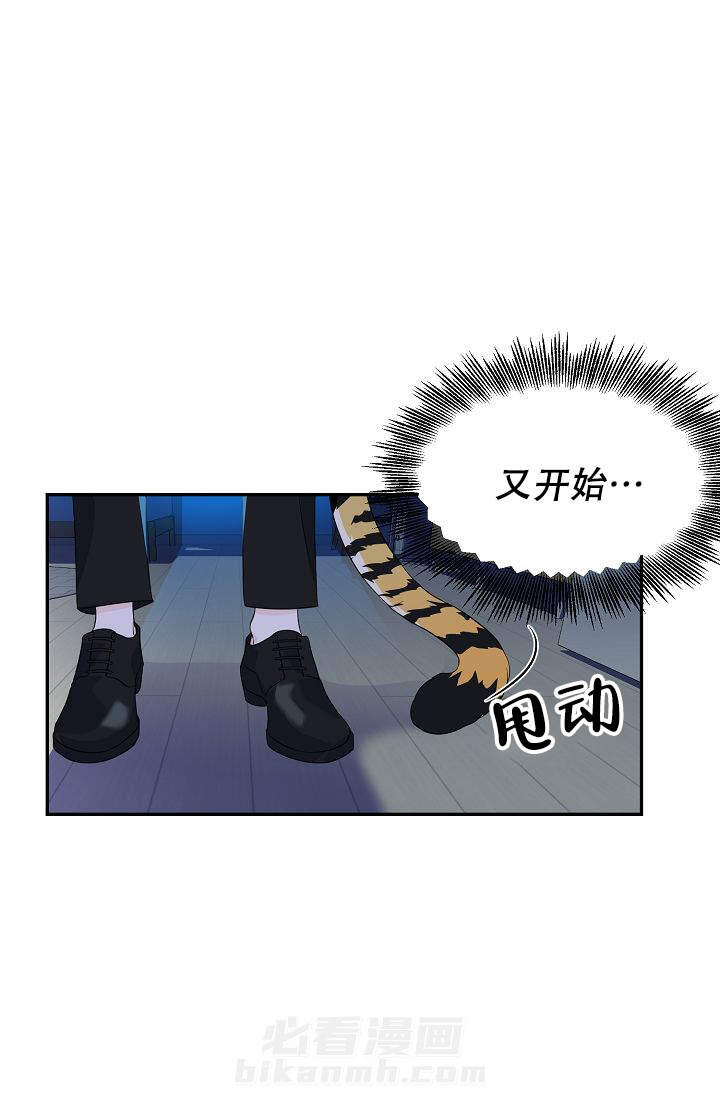 《老虎花》漫画最新章节第5话 5免费下拉式在线观看章节第【13】张图片