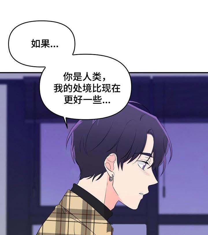 《老虎花》漫画最新章节第32话 没事的免费下拉式在线观看章节第【12】张图片