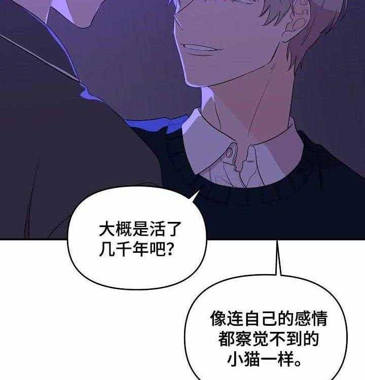 《老虎花》漫画最新章节第42话 你喜欢他免费下拉式在线观看章节第【19】张图片