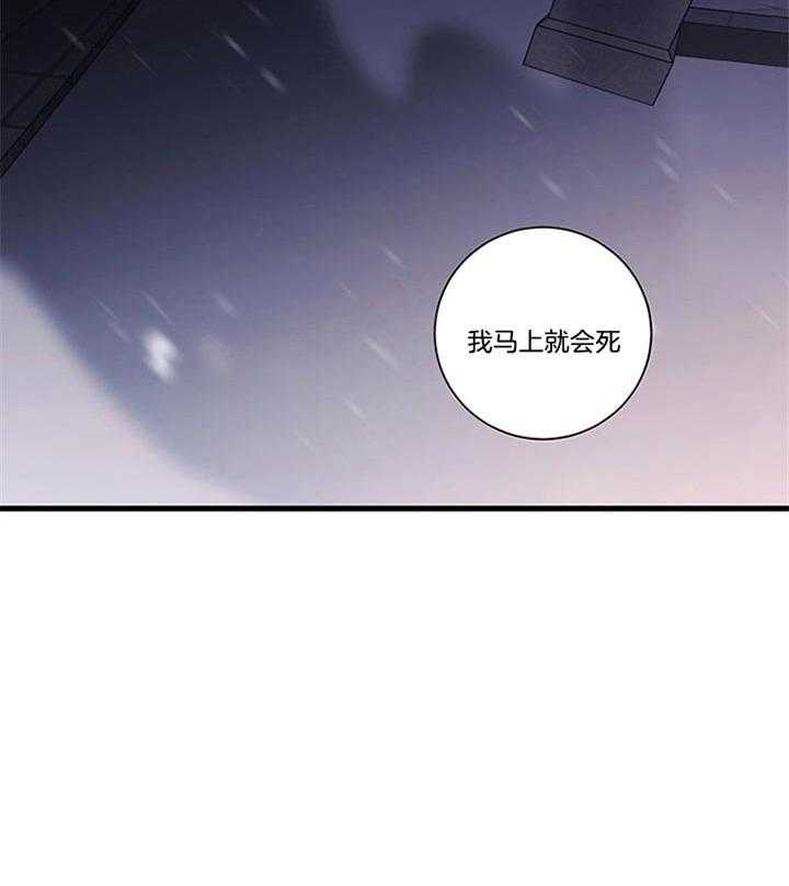 《恶魔之舞》漫画最新章节第69话 你可能觉得很可笑免费下拉式在线观看章节第【7】张图片