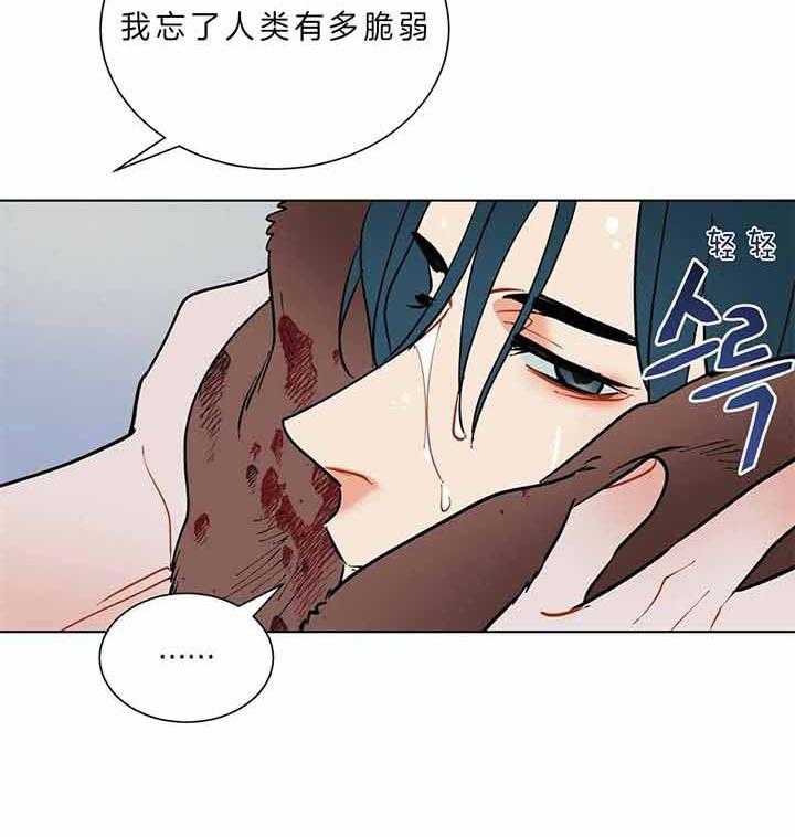 《我偷走了恶魔的名字》漫画最新章节第81话 为什么不叫免费下拉式在线观看章节第【45】张图片