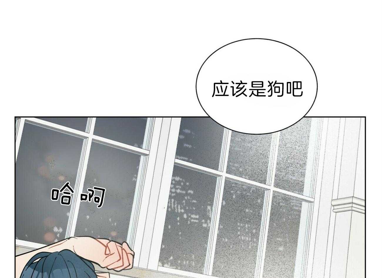 《我偷走了恶魔的名字》漫画最新章节第89话 乌鸦免费下拉式在线观看章节第【20】张图片