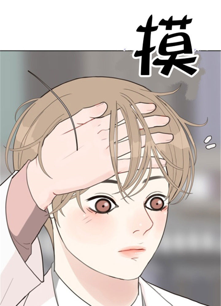 《贪婪》漫画最新章节第42话 关系免费下拉式在线观看章节第【15】张图片