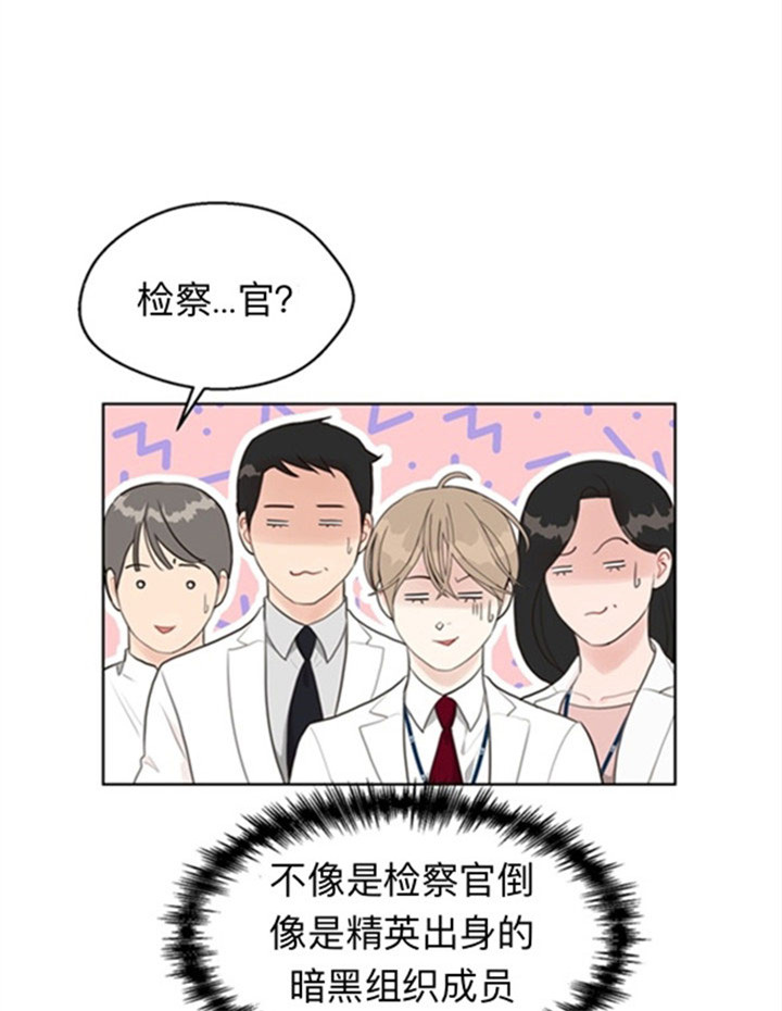 《贪婪》漫画最新章节第43话 精英暗黑组织免费下拉式在线观看章节第【17】张图片