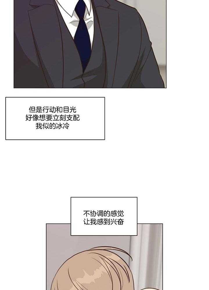 《贪婪》漫画最新章节第89话 五阶段（番外）免费下拉式在线观看章节第【17】张图片