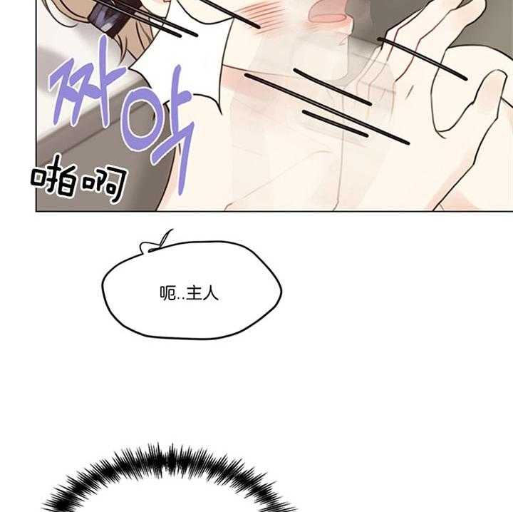 《贪婪》漫画最新章节第90话 是梦啊（番外）免费下拉式在线观看章节第【35】张图片