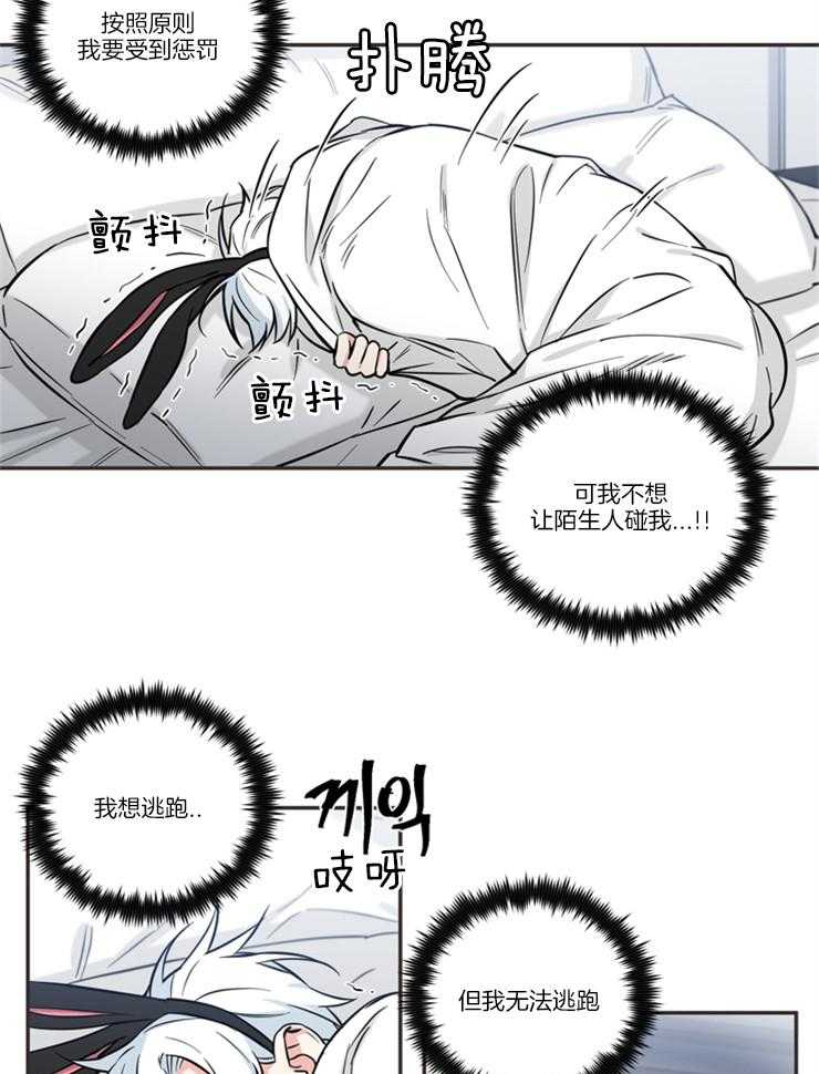 《天使兔俱乐部》漫画最新章节第40话 你怎么会来这里免费下拉式在线观看章节第【10】张图片