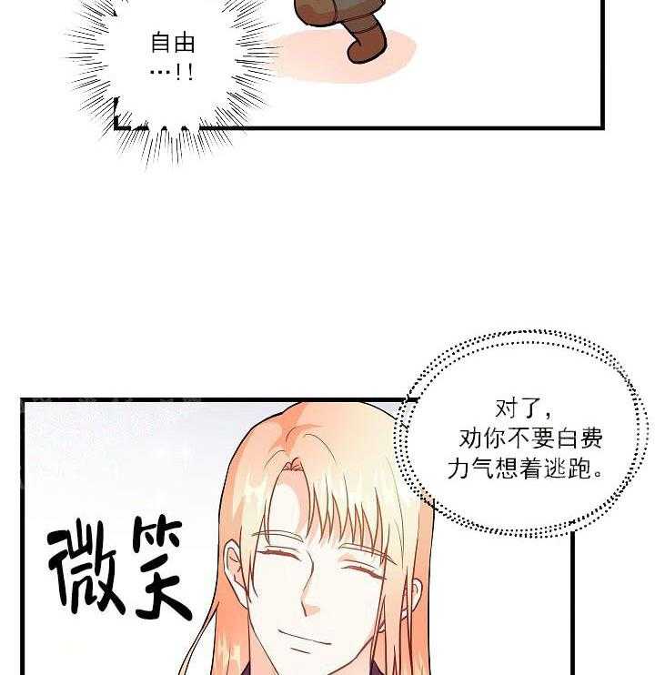 《魔法师的研究日志》漫画最新章节第16话 放假和自由免费下拉式在线观看章节第【10】张图片