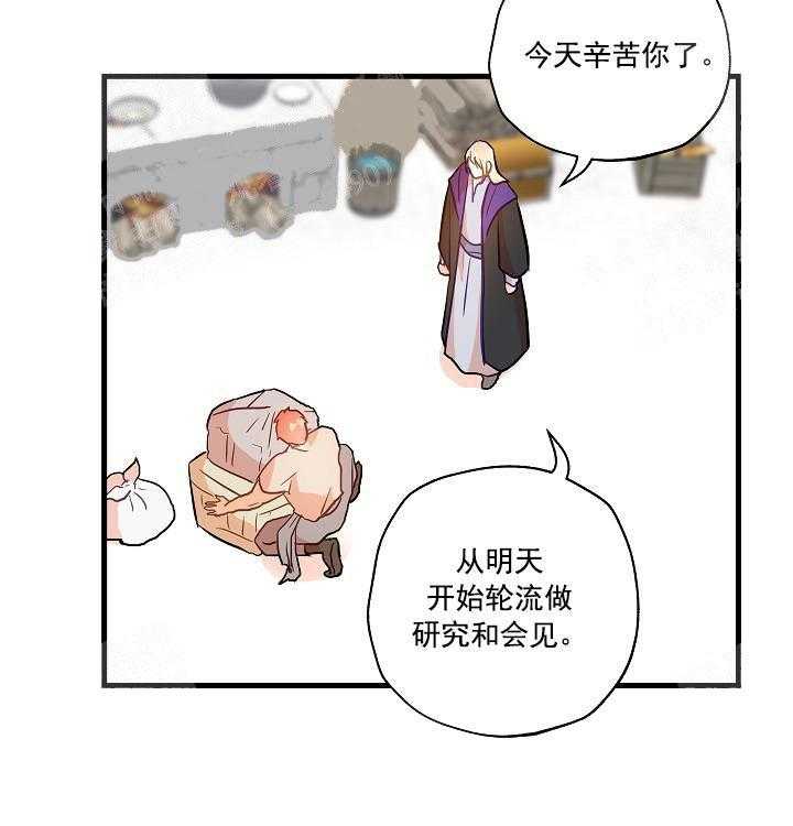 《魔法师的研究日志》漫画最新章节第16话 放假和自由免费下拉式在线观看章节第【36】张图片