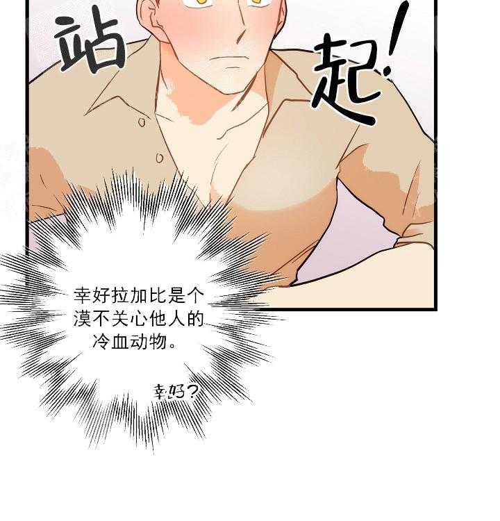 《魔法师的研究日志》漫画最新章节第19话 悄咪咪免费下拉式在线观看章节第【35】张图片