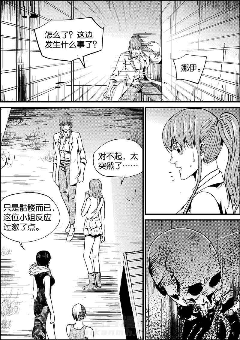 《迷域行者（第二季）》漫画最新章节第273话 273免费下拉式在线观看章节第【5】张图片