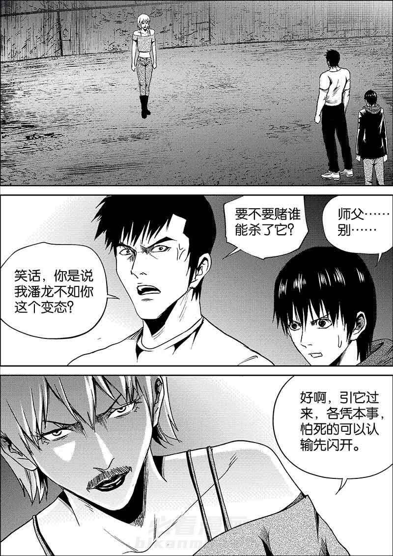 《迷域行者（第二季）》漫画最新章节第324话 324免费下拉式在线观看章节第【8】张图片