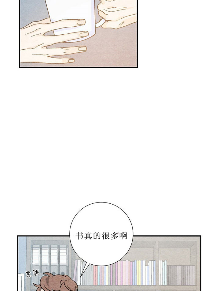 《初恋法则》漫画最新章节第49话 从小的朋友免费下拉式在线观看章节第【19】张图片