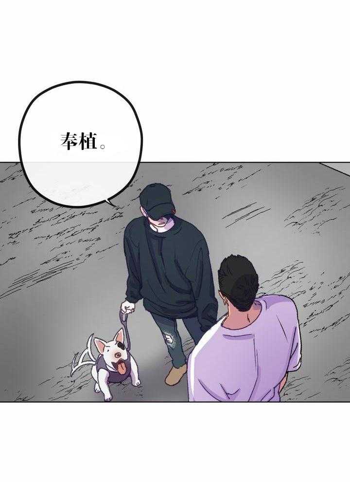 《满载爱情的拖拉机》漫画最新章节第5话 5免费下拉式在线观看章节第【7】张图片