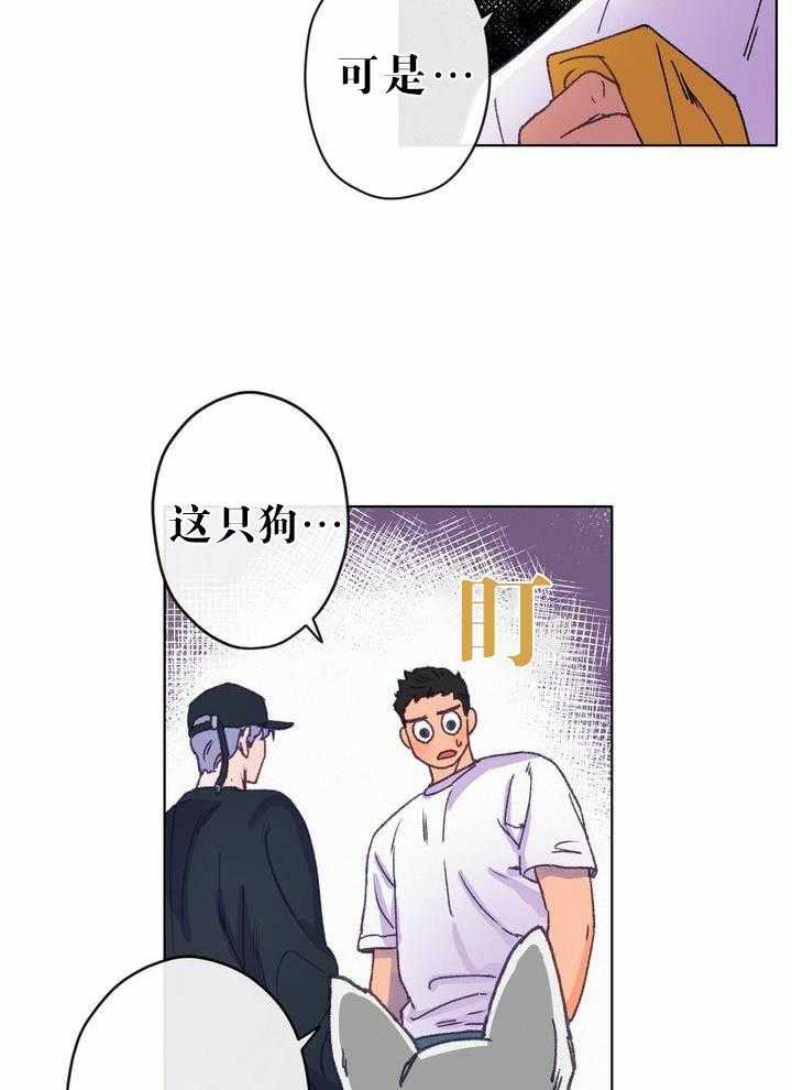 《满载爱情的拖拉机》漫画最新章节第5话 5免费下拉式在线观看章节第【9】张图片