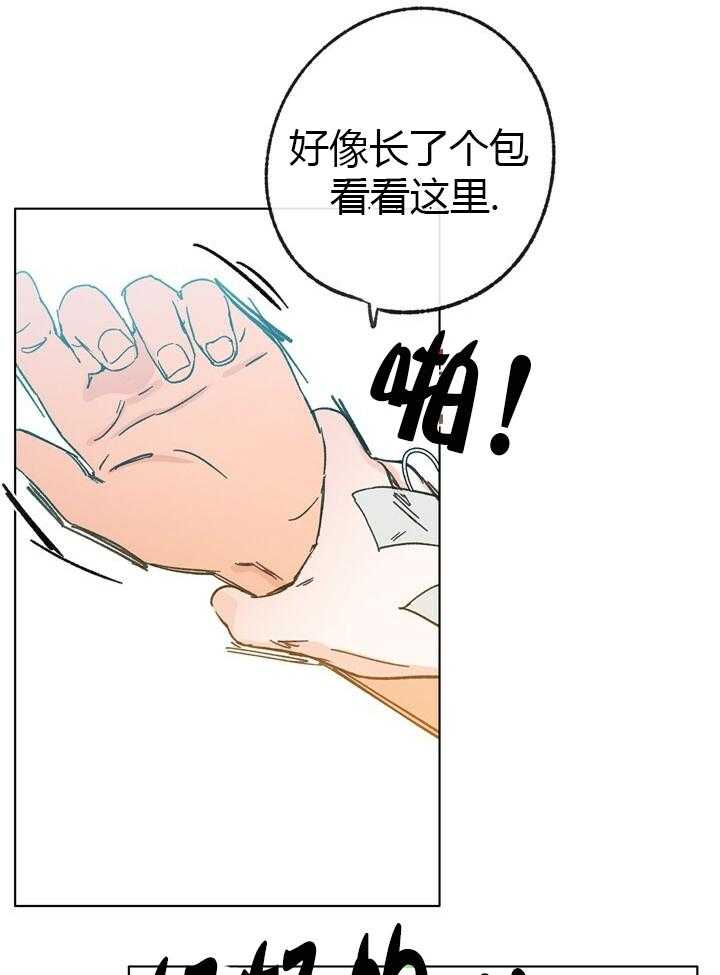 《满载爱情的拖拉机》漫画最新章节第49话 49免费下拉式在线观看章节第【12】张图片