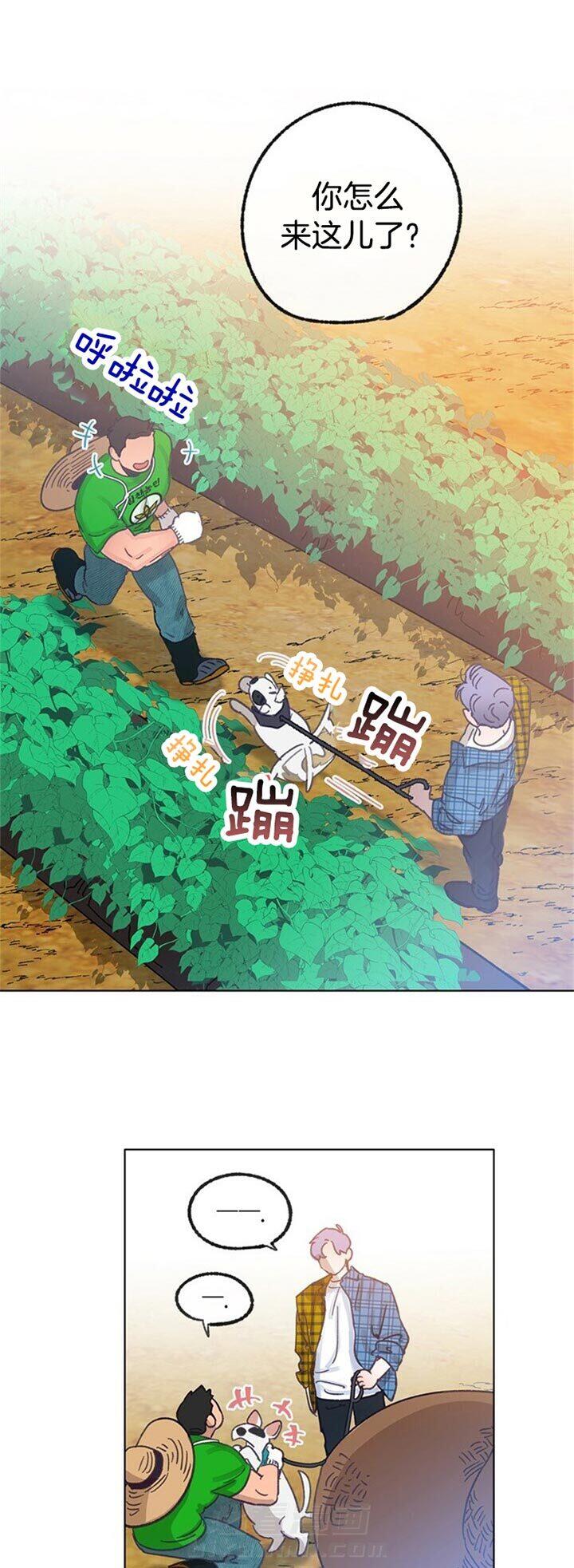 《满载爱情的拖拉机》漫画最新章节第67话 意料之外免费下拉式在线观看章节第【12】张图片