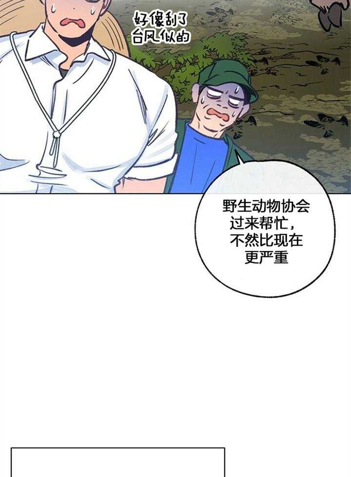 《满载爱情的拖拉机》漫画最新章节第78话 他喜欢你免费下拉式在线观看章节第【3】张图片