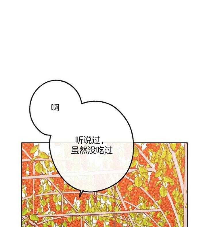 《满载爱情的拖拉机》漫画最新章节第88话 五味子免费下拉式在线观看章节第【20】张图片