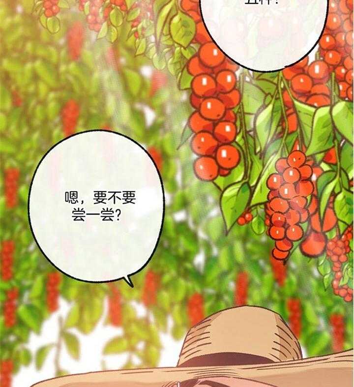 《满载爱情的拖拉机》漫画最新章节第88话 五味子免费下拉式在线观看章节第【17】张图片