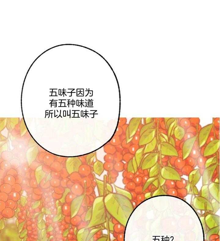 《满载爱情的拖拉机》漫画最新章节第88话 五味子免费下拉式在线观看章节第【18】张图片