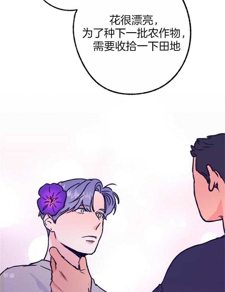 《满载爱情的拖拉机》漫画最新章节第113话 要不要种下我这朵花免费下拉式在线观看章节第【12】张图片