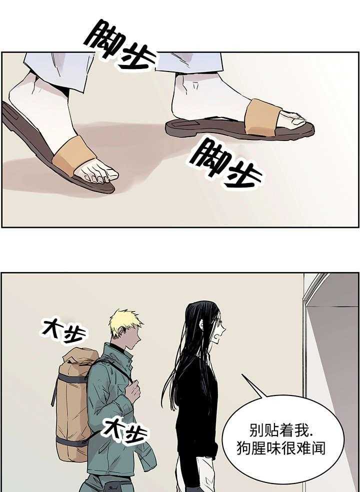 《巫师与狼》漫画最新章节第1话 1_一只狼免费下拉式在线观看章节第【21】张图片