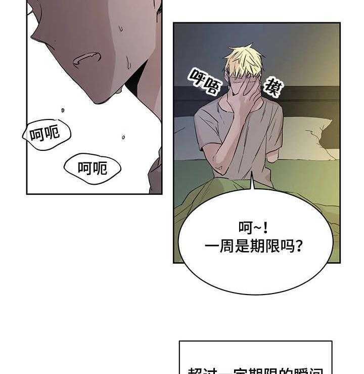 《巫师与狼》漫画最新章节第1话 1_一只狼免费下拉式在线观看章节第【32】张图片