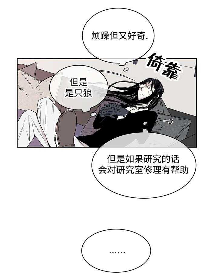 《巫师与狼》漫画最新章节第1话 1_一只狼免费下拉式在线观看章节第【3】张图片