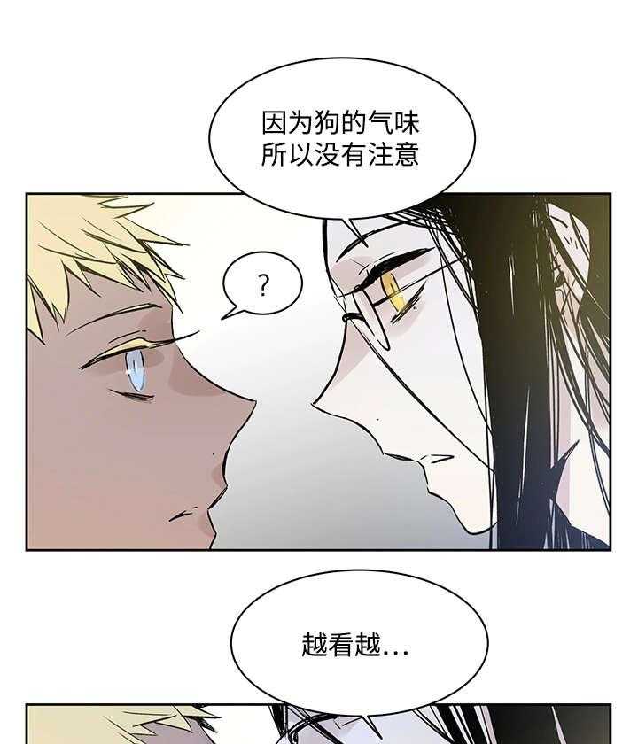 《巫师与狼》漫画最新章节第2话 2_快点接免费下拉式在线观看章节第【10】张图片