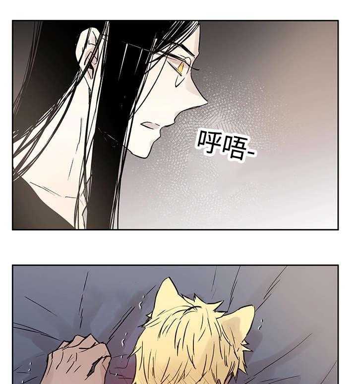 《巫师与狼》漫画最新章节第11话 11_原来在那里免费下拉式在线观看章节第【19】张图片