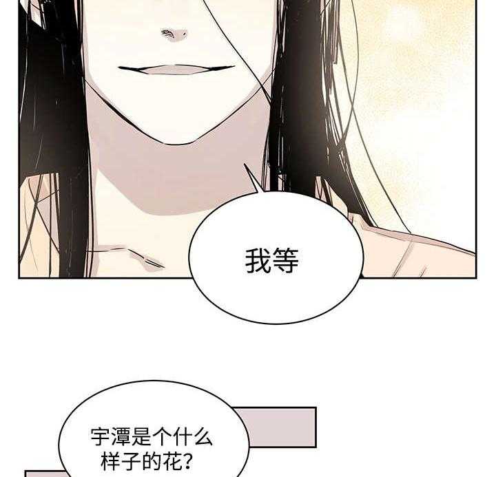 《巫师与狼》漫画最新章节第13话 13_难道是免费下拉式在线观看章节第【33】张图片