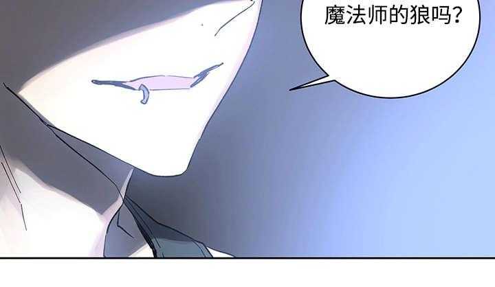 《巫师与狼》漫画最新章节第19话 19_直觉免费下拉式在线观看章节第【27】张图片