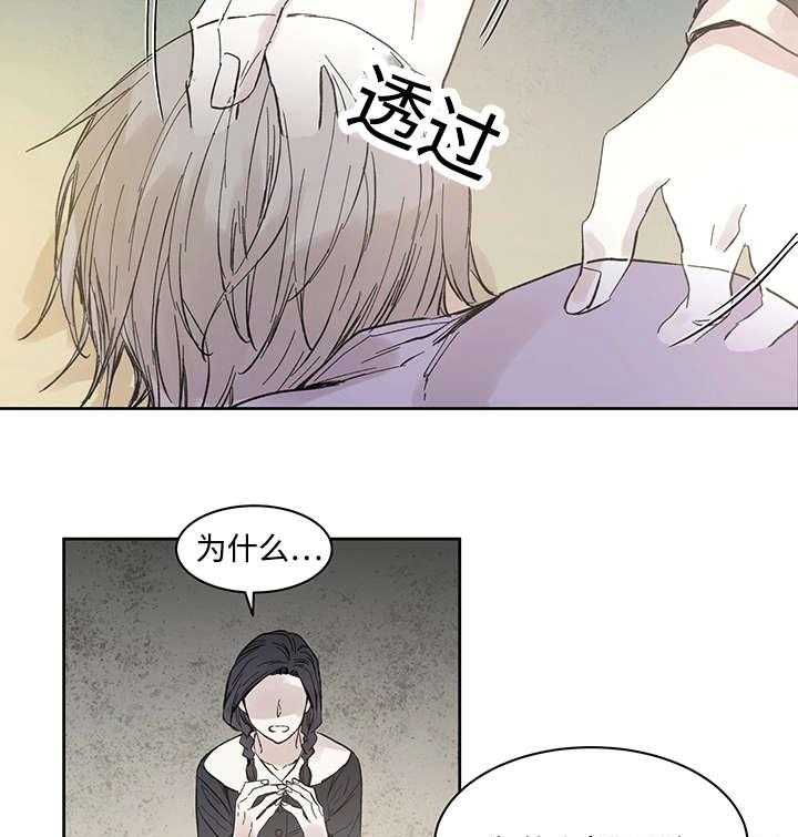 《巫师与狼》漫画最新章节第19话 19_直觉免费下拉式在线观看章节第【20】张图片