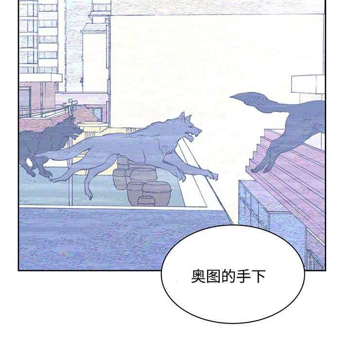 《巫师与狼》漫画最新章节第19话 19_直觉免费下拉式在线观看章节第【24】张图片