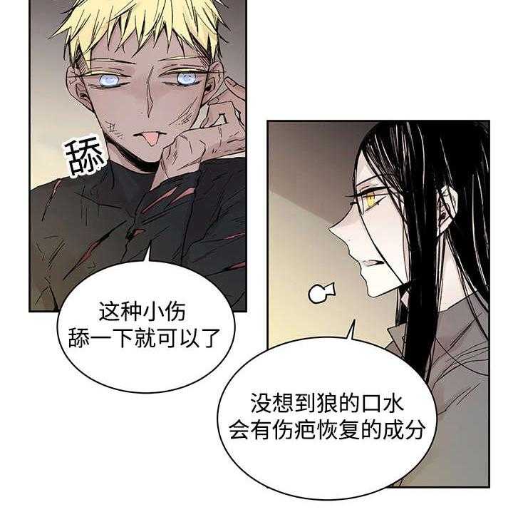 《巫师与狼》漫画最新章节第21话 21_受伤返回免费下拉式在线观看章节第【28】张图片