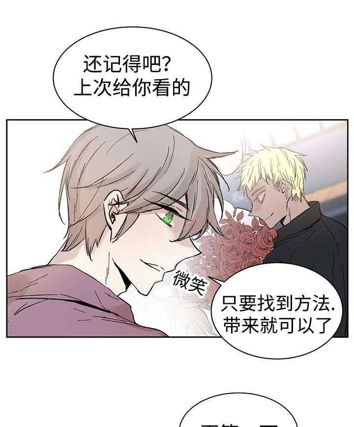 《巫师与狼》漫画最新章节第31话 31_再等一下免费下拉式在线观看章节第【4】张图片